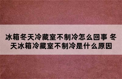 冰箱冬天冷藏室不制冷怎么回事 冬天冰箱冷藏室不制冷是什么原因